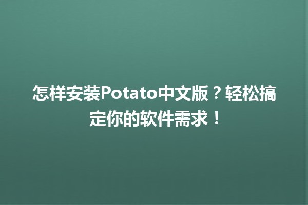 怎样安装Potato中文版？🚀轻松搞定你的软件需求！