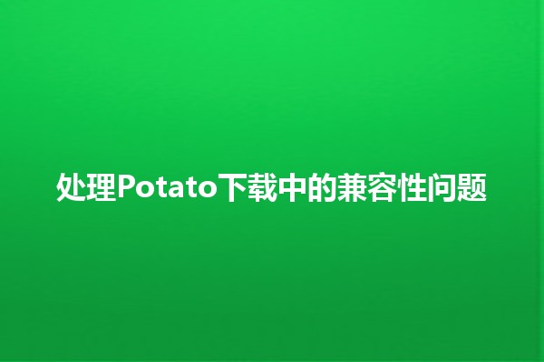 处理Potato下载中的兼容性问题🛠️