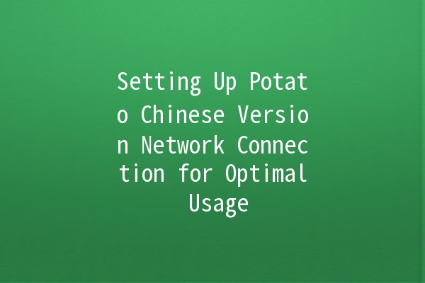 Setting Up Potato Chinese Version Network Connection for Optimal Usage 🚀