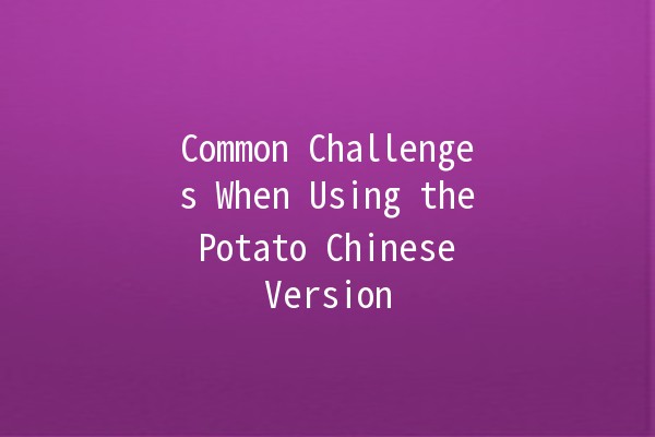 Common Challenges When Using the Potato Chinese Version 🥔