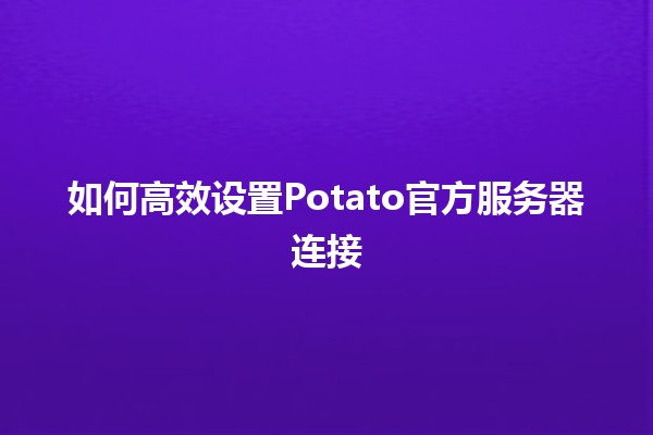 如何高效设置Potato官方服务器连接 🎮✨