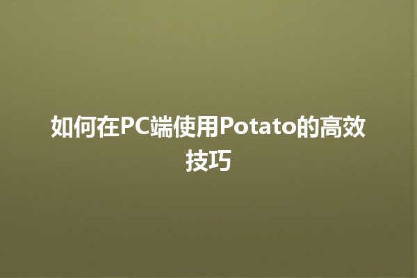 如何在PC端使用Potato的高效技巧 🌟🥔