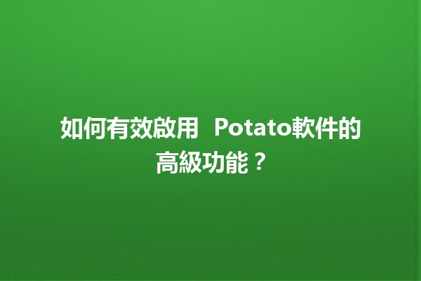 如何有效啟用 🍟 Potato軟件的高級功能？