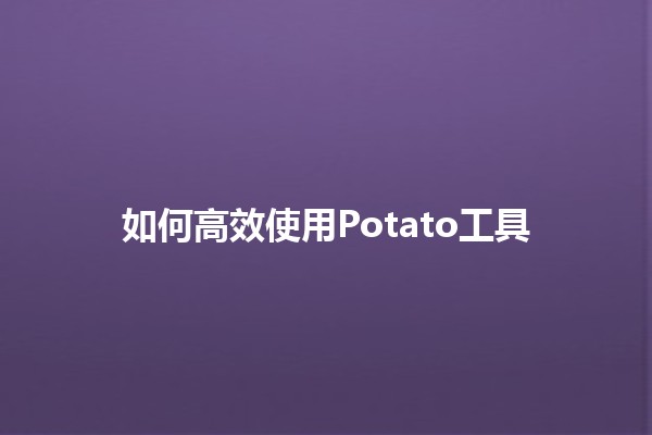 如何高效使用Potato工具 🚀🥔