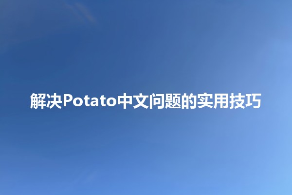 解决Potato中文问题的实用技巧 🥔✨