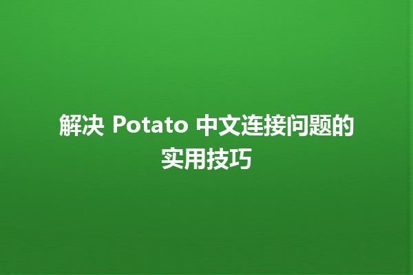 🥔 解决 Potato 中文连接问题的实用技巧