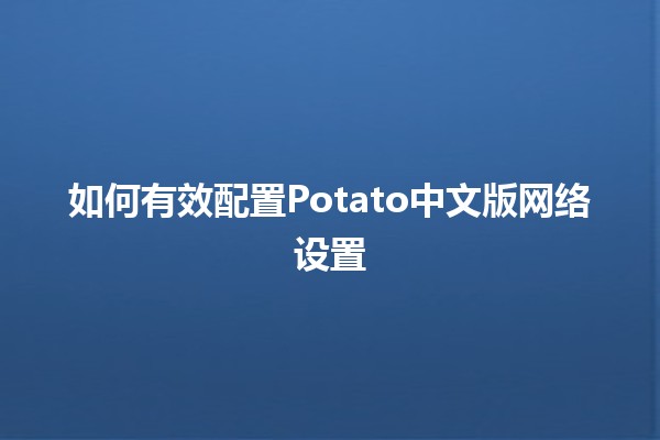 如何有效配置Potato中文版网络设置🌐🚀