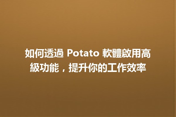 如何透過 Potato 軟體啟用高級功能，提升你的工作效率✨🚀