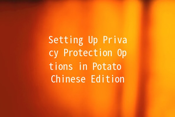 Setting Up Privacy Protection Options in Potato Chinese Edition 🥔🔒