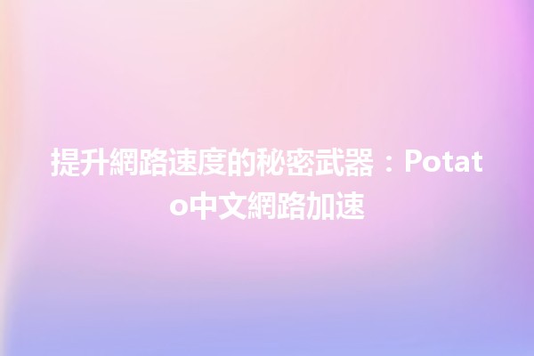 📈 提升網路速度的秘密武器：Potato中文網路加速💻✨