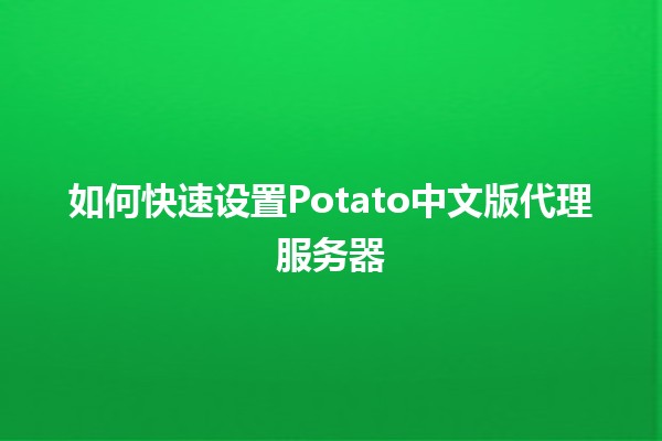 🍟 如何快速设置Potato中文版代理服务器 🖥️