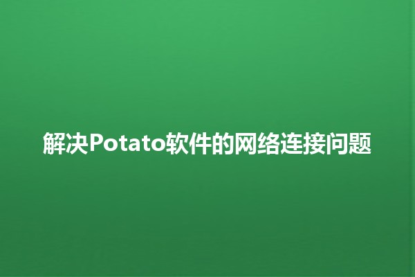 解决Potato软件的网络连接问题💻🌐