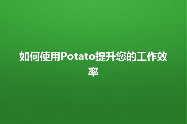 如何使用Potato提升您的工作效率🟢