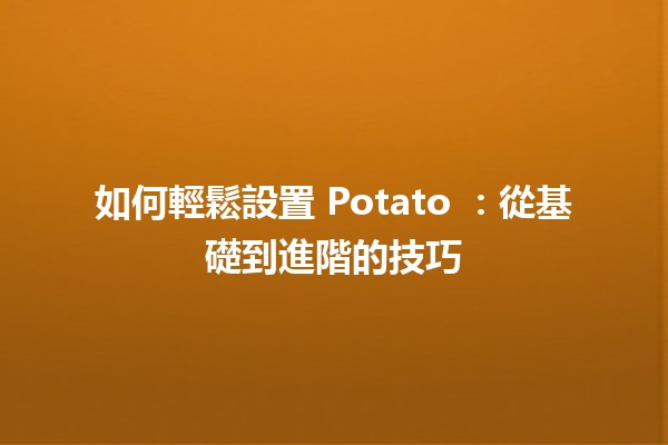 如何輕鬆設置 Potato 🎮🍟：從基礎到進階的技巧