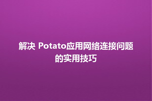 解决🍟 Potato应用网络连接问题的实用技巧