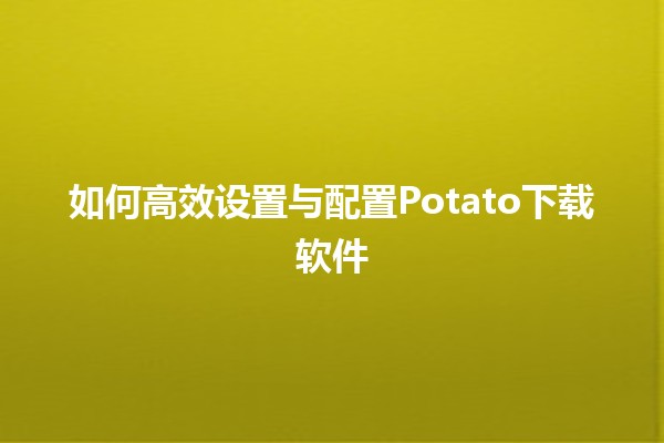 如何高效设置与配置Potato下载软件 🎮💻