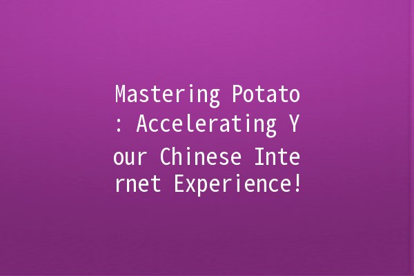 Mastering Potato: Accelerating Your Chinese Internet Experience! 🚀🥔