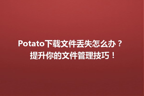 Potato下载文件丢失怎么办？🥔💾 提升你的文件管理技巧！