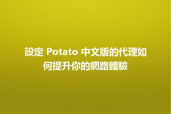 設定 Potato 中文版的代理如何提升你的網路體驗 🌟🌐