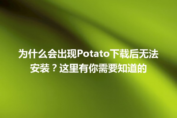 为什么会出现Potato下载后无法安装？这里有你需要知道的🛠️🚫