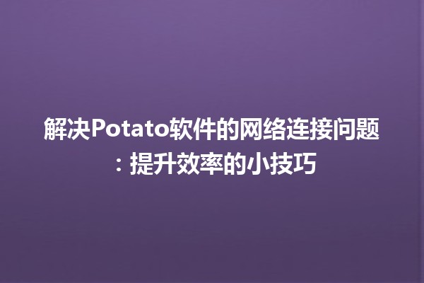 🍟 解决Potato软件的网络连接问题：提升效率的小技巧🛠️