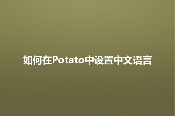 如何在Potato中设置中文语言🌟