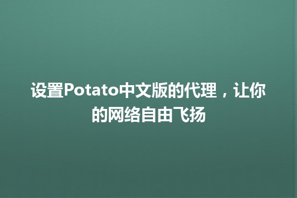 设置Potato中文版的代理，让你的网络自由飞扬🌐✨