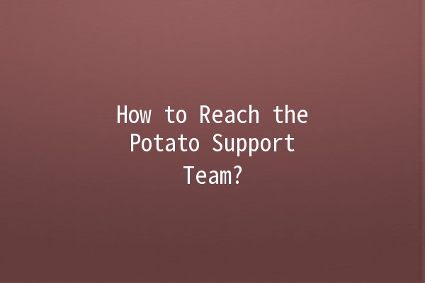 How to Reach the Potato Support Team? 📞🥔