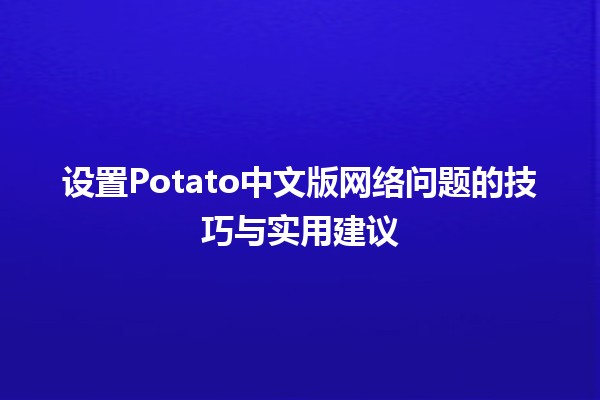 设置Potato中文版网络问题的技巧与实用建议🍟💻