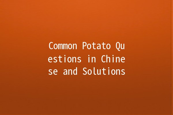 Common Potato Questions in Chinese and Solutions 🥔💡