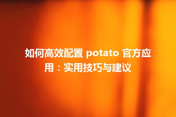 📱 如何高效配置 potato 官方应用：实用技巧与建议