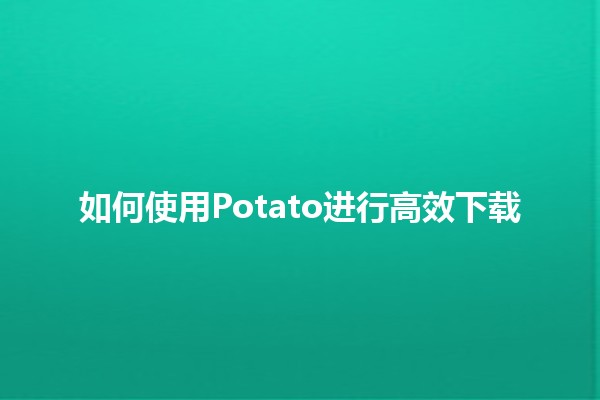 如何使用Potato进行高效下载🚀