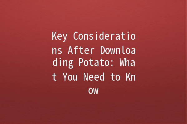 Key Considerations After Downloading Potato: What You Need to Know 🍟📥