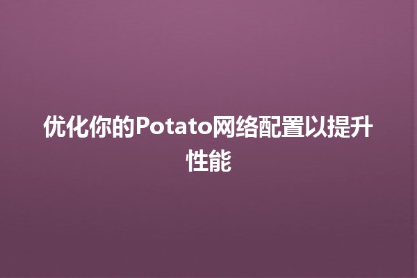 🚀 优化你的Potato网络配置以提升性能