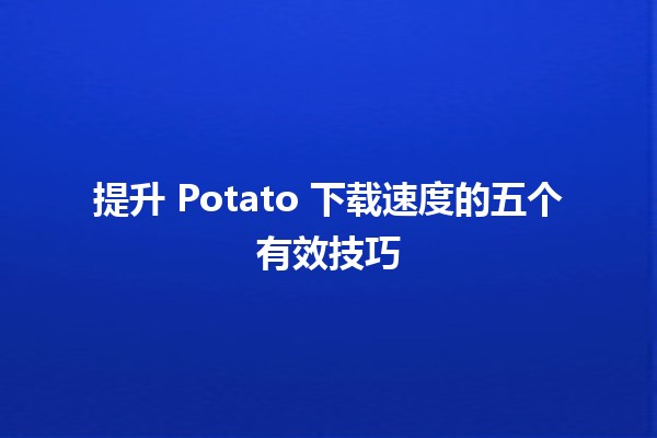 🚀 提升 Potato 下载速度的五个有效技巧