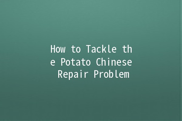 How to Tackle the Potato Chinese Repair Problem 🥔🔧