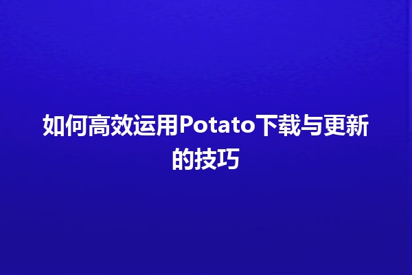 如何高效运用Potato下载与更新的技巧 💾✨