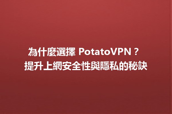 為什麼選擇 PotatoVPN？🌐 提升上網安全性與隱私的秘訣