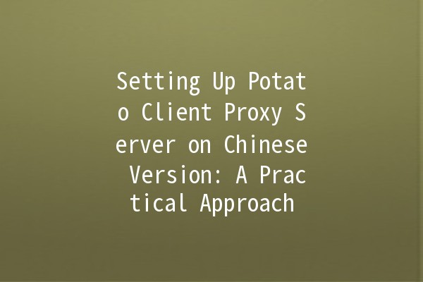 Setting Up Potato Client Proxy Server on Chinese Version: A Practical Approach 🥔🌐