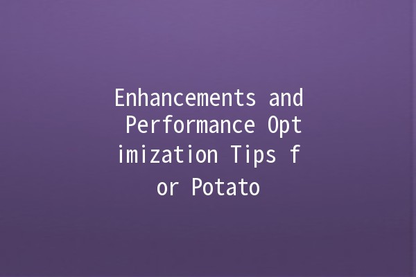 Enhancements and Performance Optimization Tips for Potato 🥔💡