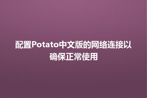 配置Potato中文版的网络连接以确保正常使用🌐🍟