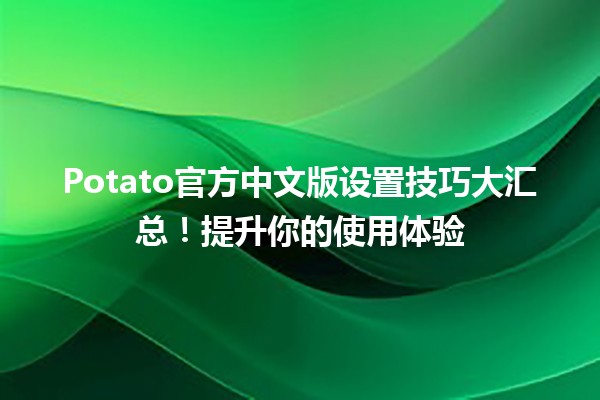 🥔 Potato官方中文版设置技巧大汇总！提升你的使用体验