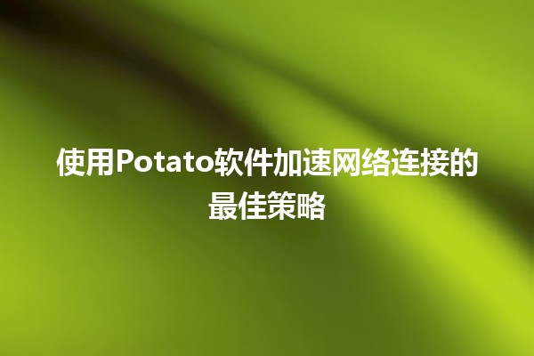 使用Potato软件加速网络连接的最佳策略🚀