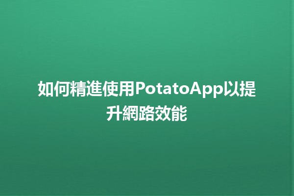 🌐如何精進使用PotatoApp以提升網路效能🥔