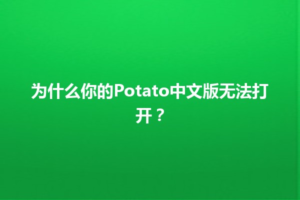 为什么你的Potato中文版无法打开？🤔🔍