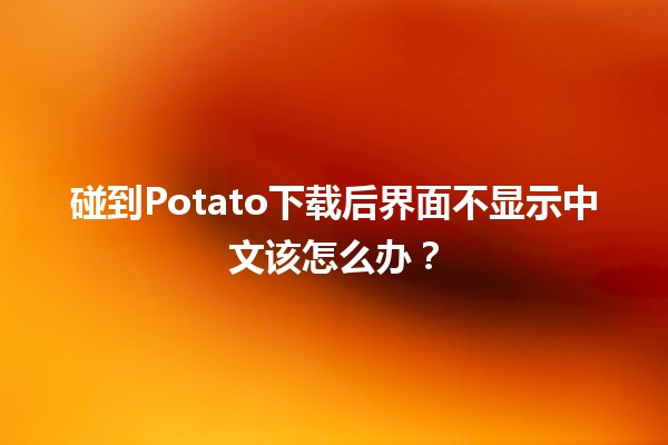 碰到Potato下载后界面不显示中文该怎么办？🧐🎮