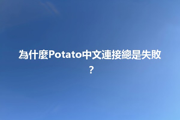 為什麼🍽️Potato中文連接總是失敗？