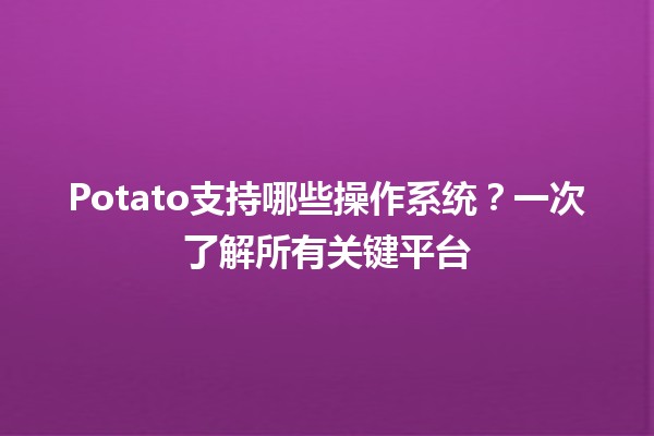 Potato支持哪些操作系统？🌐🍟一次了解所有关键平台