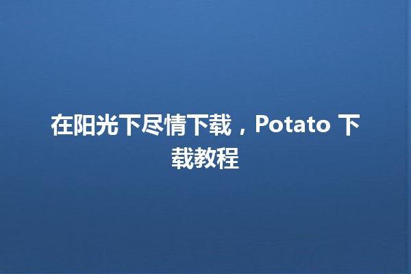 在阳光下尽情下载，Potato 下载教程 ☀️💻