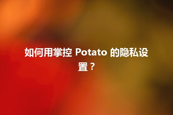 如何用🍟掌控 Potato 的隐私设置？💻